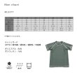 画像9: フランドシーマライン半袖Tシャツ (9)