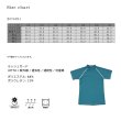 画像9: フランドシーマ八ライン半袖TシャツKIDS水着 (9)